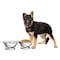 Pet Adobe Stainless Steel Elevated 2-piece Pet Bowls with Decorative 3.5 in Stand for Dogs/Cats, 40 oz 655130HHU - alternate 1